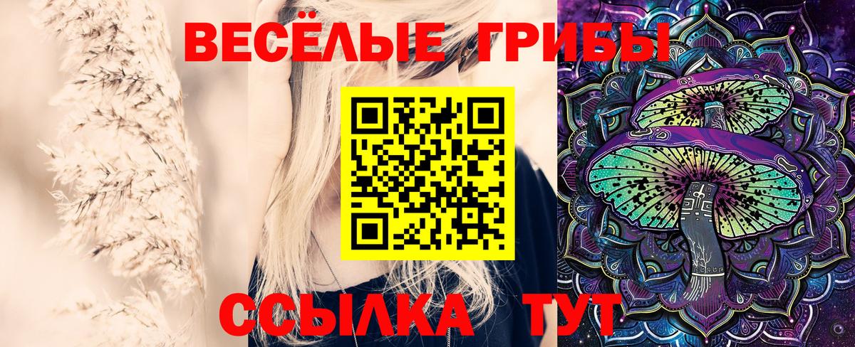 наркошоп  Вход с VPN  Кизилюрт  Псилоцибиновые грибы Cubensis 