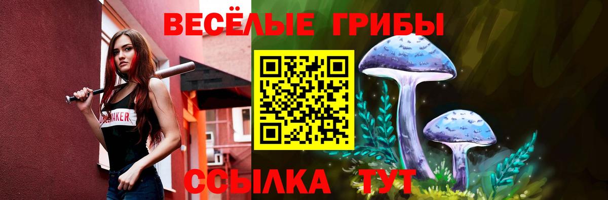 Галлюциногенные грибы Cubensis Кизилюрт